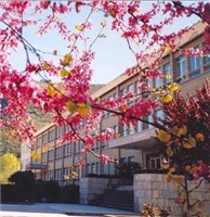 Centro La Asuncion: Colegio Concertado en PONFERRADA,Infantil,Primaria,Secundaria,Bachillerato,Católico,